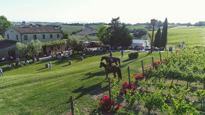 Azienda Guerrieri