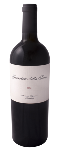 Guerriero della terra