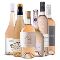 De 6 Beste Rose's van 2025