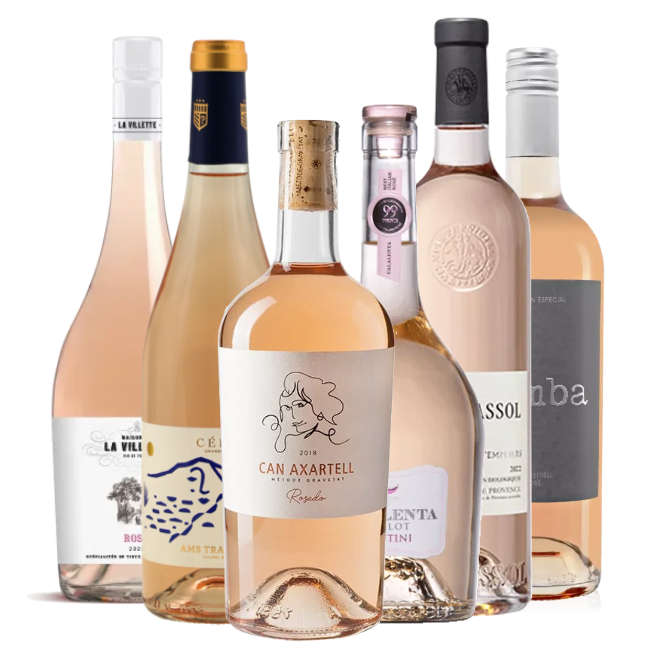 De 6 Beste Rose's van 2025