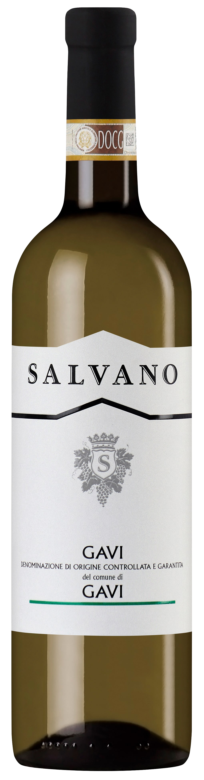Salvano Gavi di Gavi