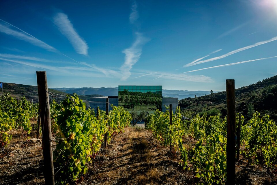 Quinta do Pesseguiro